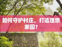 如何守護村莊，打造理想家園？