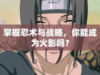 掌握忍術(shù)與戰(zhàn)略，你能成為火影嗎？