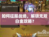 如何征服戰(zhàn)場，解鎖無雙白金攻略？