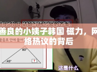 善良的小姨子韓國(guó) 磁力，網(wǎng)絡(luò)熱議的背后