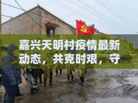 嘉興天明村疫情最新動態(tài)，共克時艱，守護綠意家園