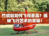 竹蜻蜓如何飛得更高？揭秘飛行藝術(shù)的奧秘！