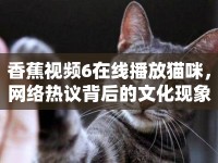 香蕉視頻6在線播放貓咪，網(wǎng)絡熱議背后的文化現(xiàn)象