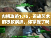 肉搏攻略1.75，近戰(zhàn)藝術(shù)的極致演繹，你掌握了嗎？