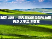 探秘新綠意，仰天湖草原最新視頻揭秘自然之美再次綻放