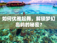 如何優(yōu)雅起舞，解鎖夢(mèng)幻島嶼的秘密？