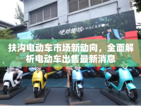 扶溝電動車市場新動向，全面解析電動車出售最新消息