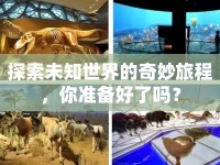 探索未知世界的奇妙旅程，你準(zhǔn)備好了嗎？