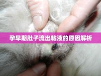 孕早期肚子流出粘液的原因解析