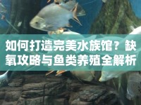 如何打造完美水族館？缺氧攻略與魚(yú)類(lèi)養(yǎng)殖全解析！