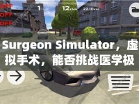 Surgeon Simulator，虛擬手術(shù)，能否挑戰(zhàn)醫(yī)學(xué)極限？