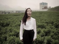 野外捕捉，尋仙手游中隱藏哪些奇緣？