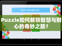 Puzzle如何解鎖智慧與耐心的奇妙之旅？