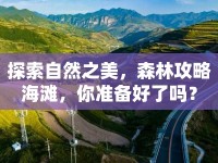 探索自然之美，森林攻略海灘，你準備好了嗎？