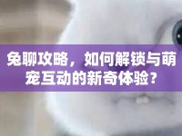 兔聊攻略，如何解鎖與萌寵互動(dòng)的新奇體驗(yàn)？