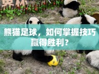 熊貓足球，如何掌握技巧贏得勝利？