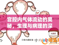 宮腔內(nèi)氣體流動(dòng)的奧秘，生理與病理的深度解析