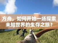 方舟，如何開始一場(chǎng)探索未知世界的生存之旅？
