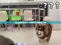 冰藍(lán)之境的溫暖之聲，阿拉斯加女主播的魅力傳遞