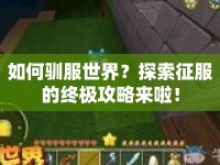 如何馴服世界？探索征服的終極攻略來(lái)啦！
