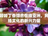 婷婷丁香綜合在線亞洲，網(wǎng)絡(luò)文化的新興力量