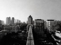 尋仙手游為何獨缺羅剎職業(yè)？隱情竟是……