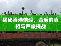 揭秘香港偷渡，背后的真相與嚴峻挑戰(zhàn)