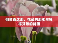 郁金香之淚，花朵的淚水與異樣芬芳的謎團(tuán)