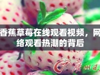 香蕉草莓在線觀看視頻，網(wǎng)絡(luò)觀看熱潮的背后