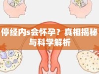停經(jīng)內(nèi)s會懷孕？真相揭秘與科學解析