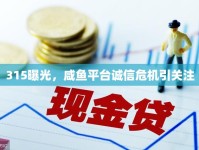 315曝光，咸魚平臺誠信危機引關(guān)注