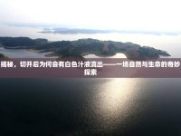 揭秘，切開(kāi)后為何會(huì)有白色汁液流出——一場(chǎng)自然與生命的奇妙探索