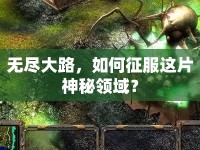 無盡大路，如何征服這片神秘領域？