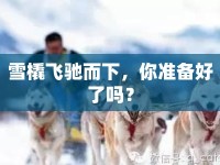 雪橇飛馳而下，你準(zhǔn)備好了嗎？