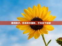 愛的種子，在無形中播種，于光亮下綻放