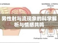 男性射與流現(xiàn)象的科學(xué)解析與情感共鳴