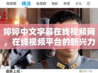 婷婷中文字幕在線視頻網(wǎng)，在線視頻平臺的新興力量