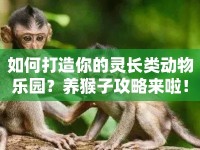 如何打造你的靈長類動物樂園？養(yǎng)猴子攻略來啦！