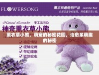 薰衣草小熊，萌寵的秘密花園，治愈系萌趣的秘密