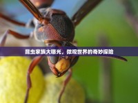 昆蟲家族大曝光，微觀世界的奇妙探險(xiǎn)