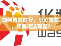 如何智慧前行，小心輕放，完美運送雞蛋？