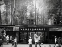 S區(qū)武俠世界，熱血江湖手游的無限冒險等你來探索？