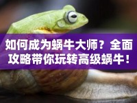 如何成為蝸牛大師？全面攻略帶你玩轉(zhuǎn)高級(jí)蝸牛！
