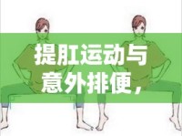 提肛運動與意外排便，預(yù)防與應(yīng)對策略