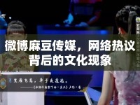 微博麻豆傳媒，網(wǎng)絡(luò)熱議背后的文化現(xiàn)象