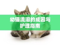 幼貓流淚的成因與護(hù)理指南