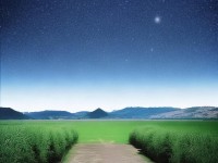 夢(mèng)幻誅仙手游任務(wù)順序不對(duì)？這份新手攻略教你少走彎路！