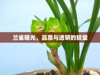 蘭雀曝光，品質(zhì)與透明的較量