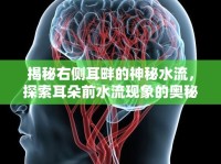 揭秘右側(cè)耳畔的神秘水流，探索耳朵前水流現(xiàn)象的奧秘