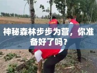 神秘森林步步為營，你準(zhǔn)備好了嗎？
